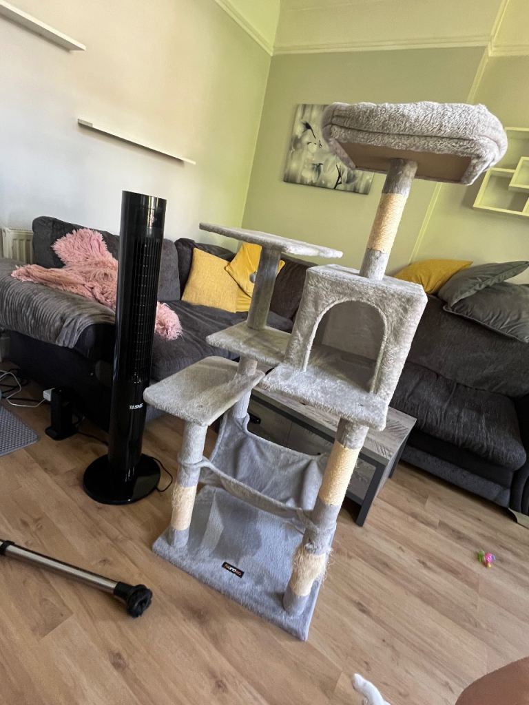 Grey cat scratching tower 