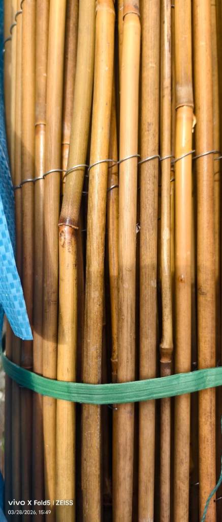 NEW, Bamboo cane Fencing 2MX4M wide,NEW