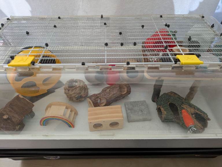 Dwarf hamster enclosure with accessories 