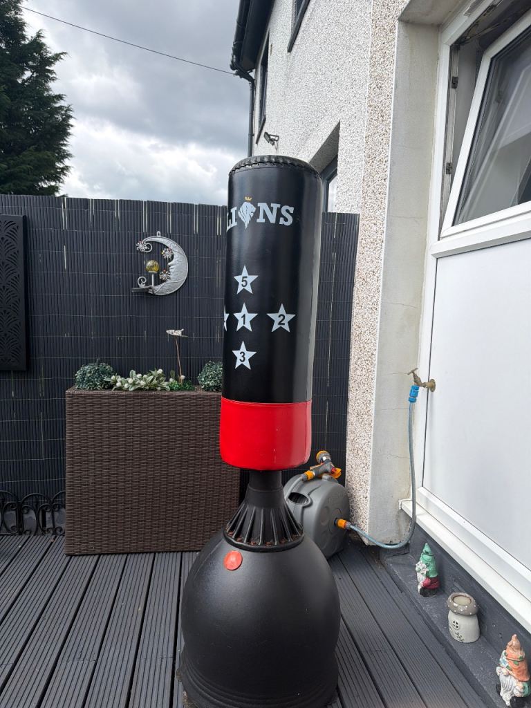 Lions Free Standing Punch Bag with Base
