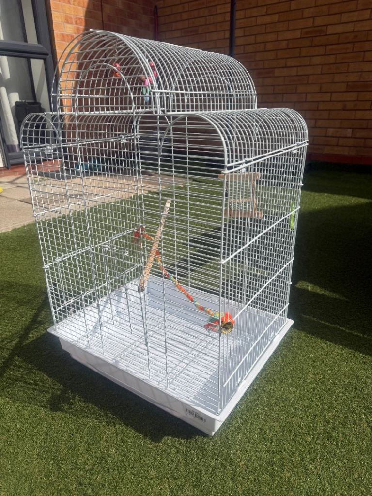 White wire bird cage with plastic base and perches