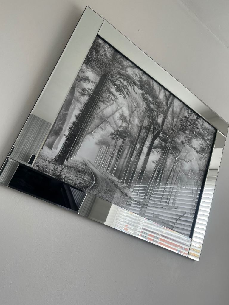 Mirrored wall art