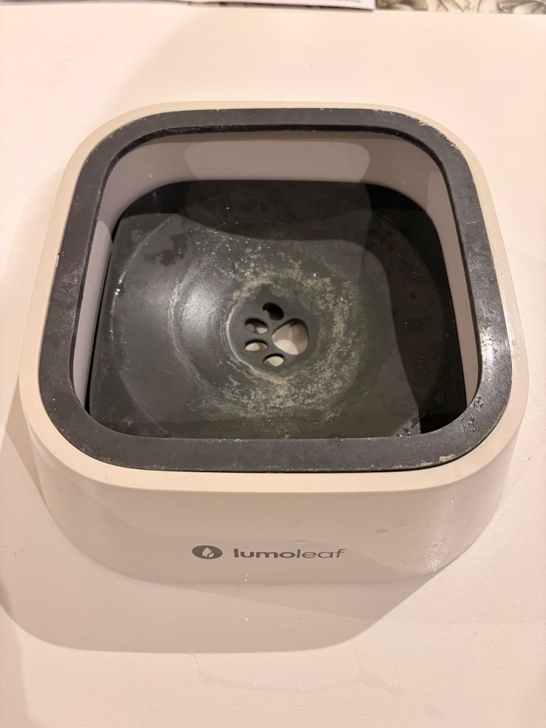 FREE No Spill Water Bowl for Cats and Dogs