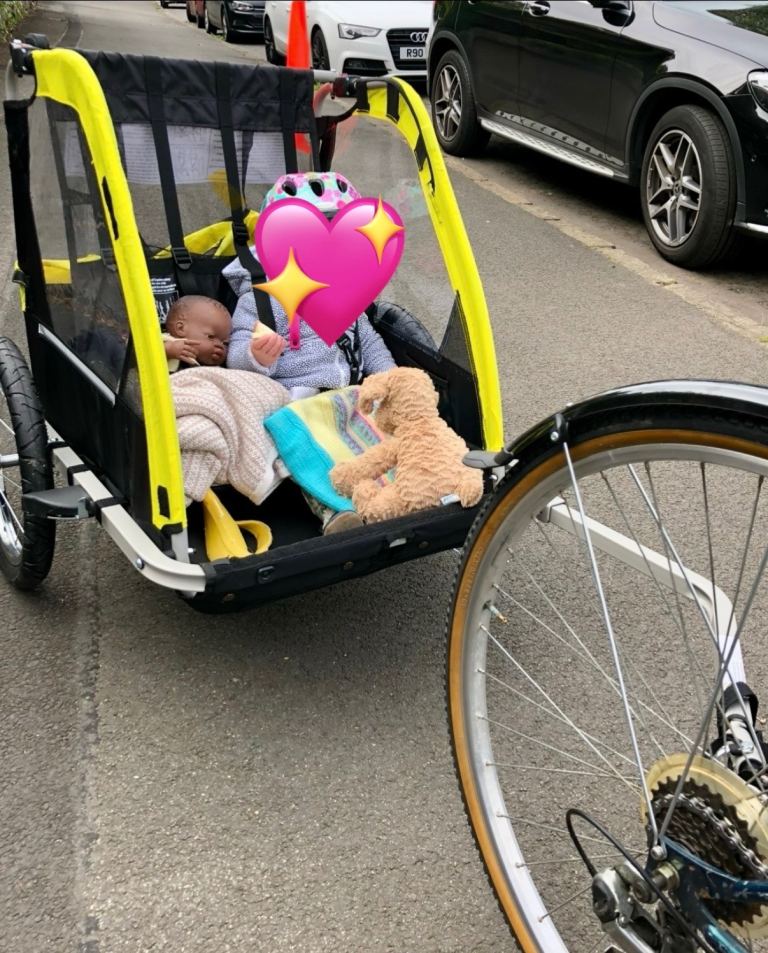 Double child bike trailer 