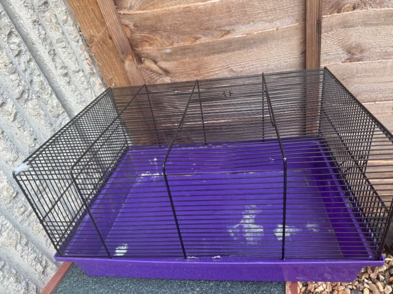 Hamster cage