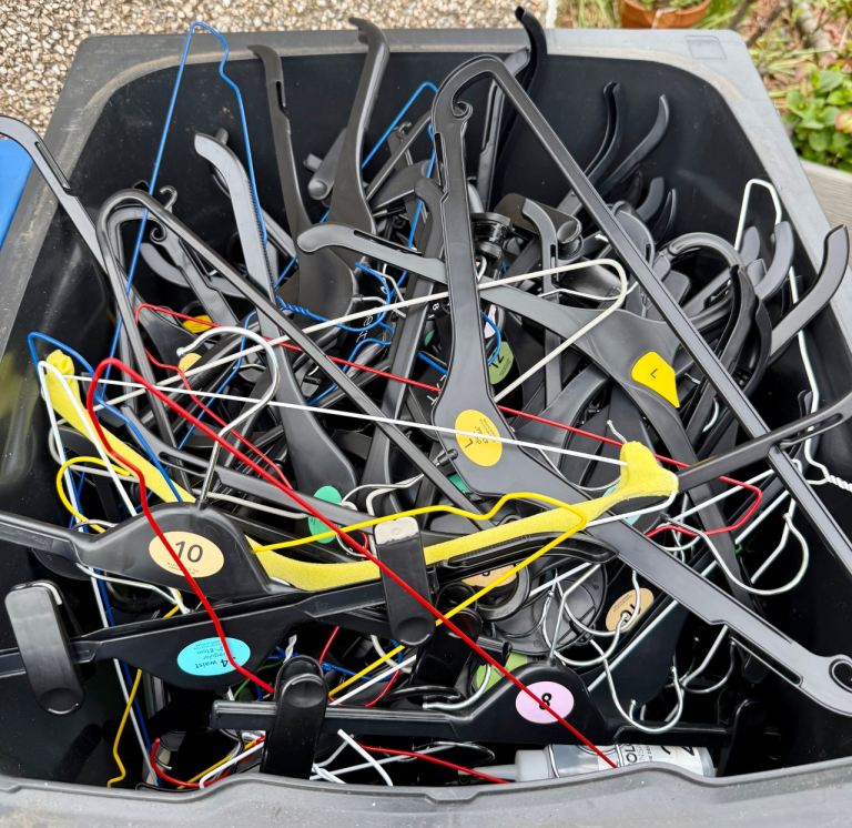 FREE- Hangers 