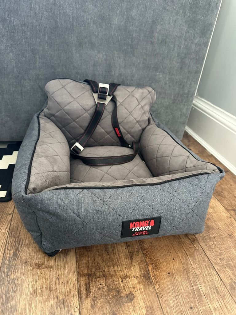 Kong Ultimate Dog Safety Seat and Tether