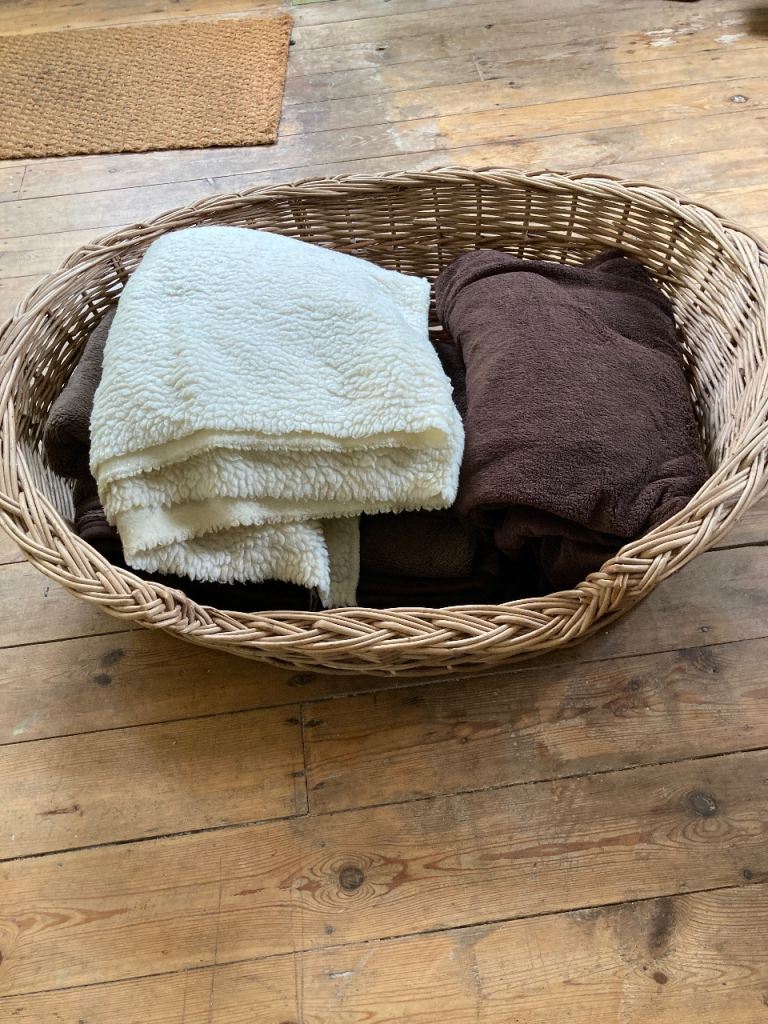 Pet Basket and Bedding 