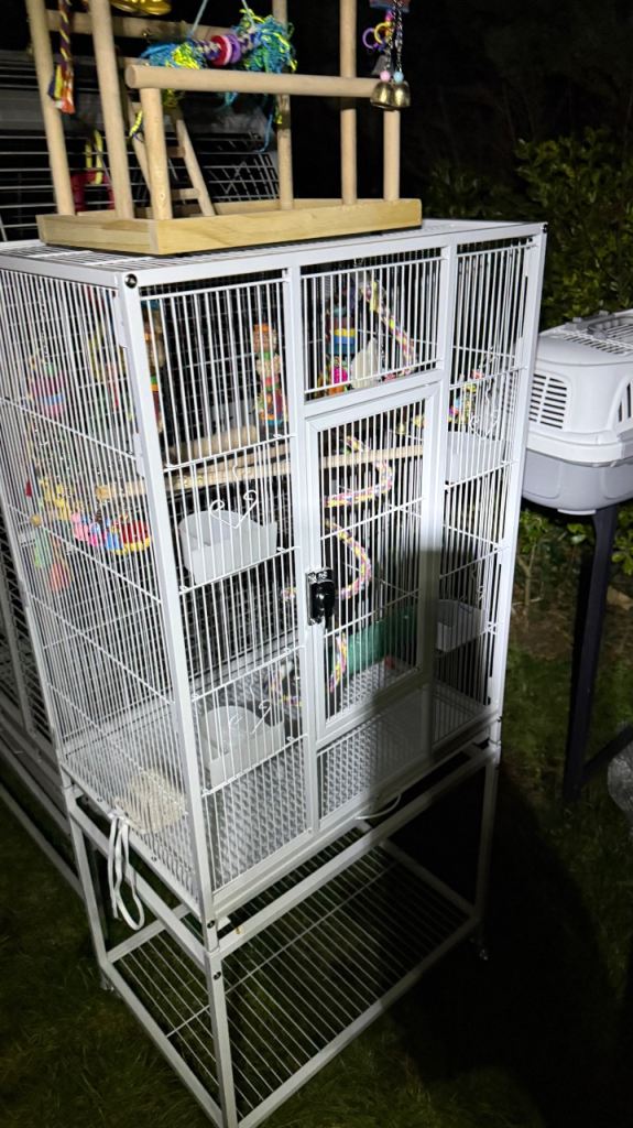 Parrot cages 
