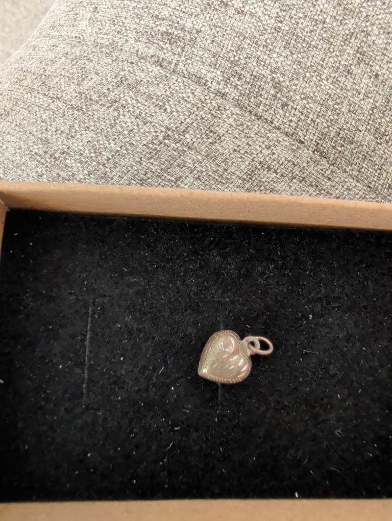 Silver charm 