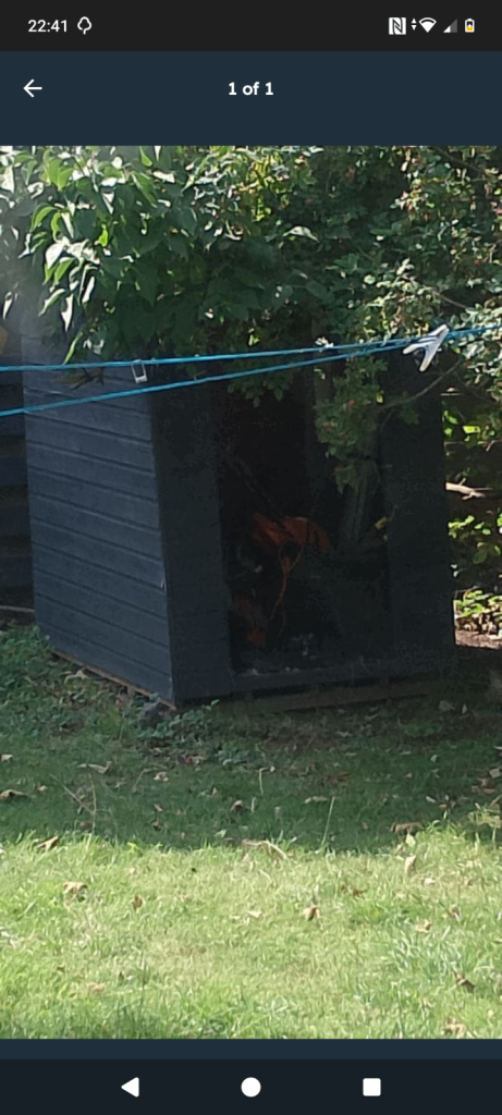 Garden Shed Door WANTED 
