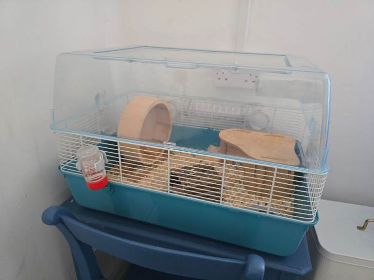 Hamster cage and all accessories 