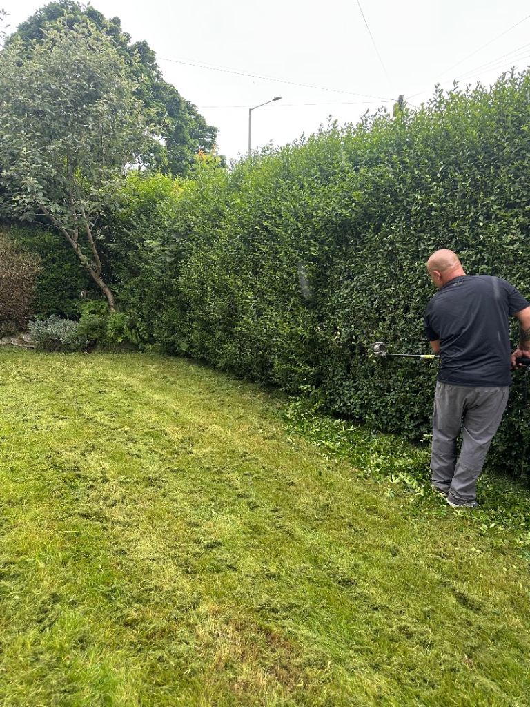 Gardening and clearance