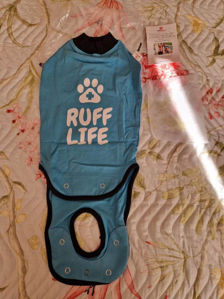 Belly Guard Pet Recovery 
