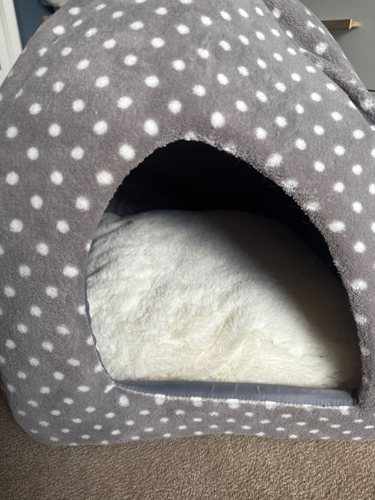 Cat dome bed 