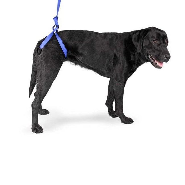 Walkin’ Bottoms Up Dog Leash (Rear Support Harness) - FREE