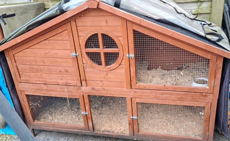 Guinea pig hutch 