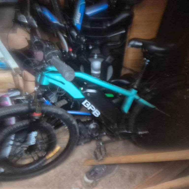Bpb electric bike