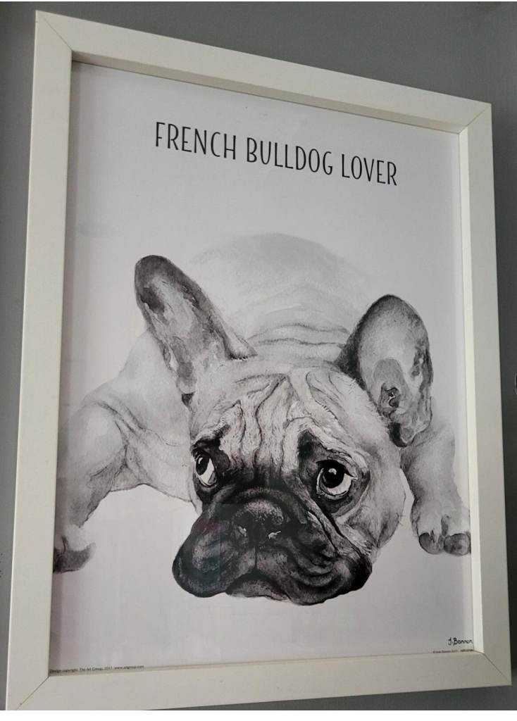 White Framed French Bulldog Lover Print