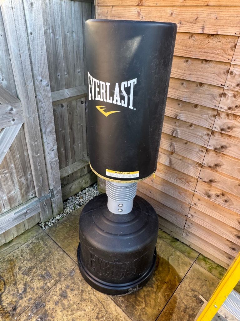 everlast freestanding punchbag