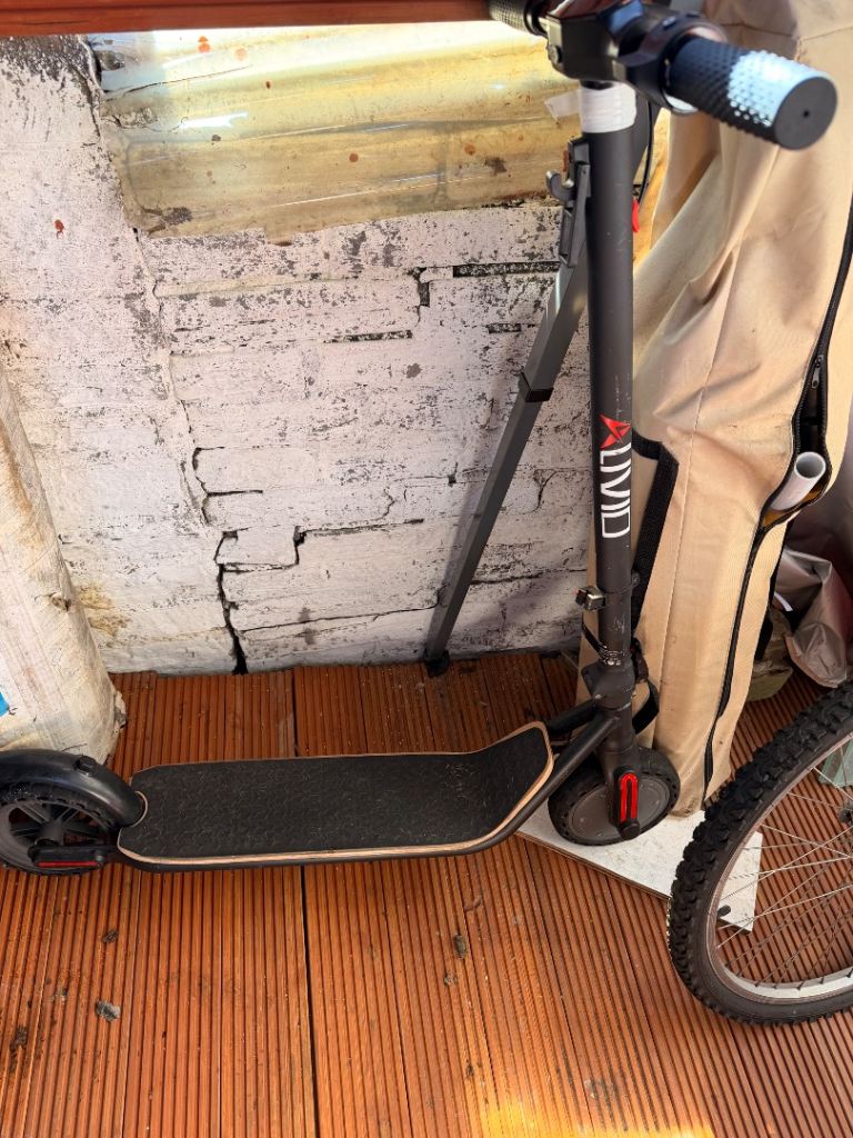 Electric scooter 