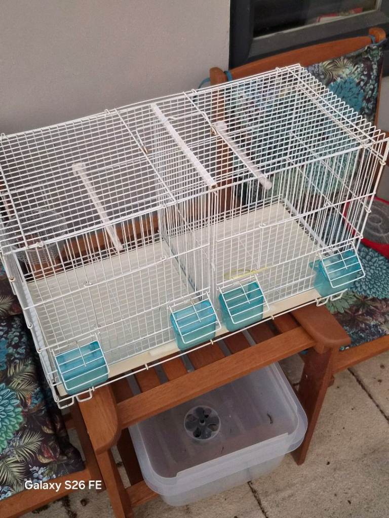 Bird cage