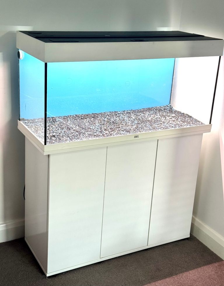 Fish tank with the cabinet