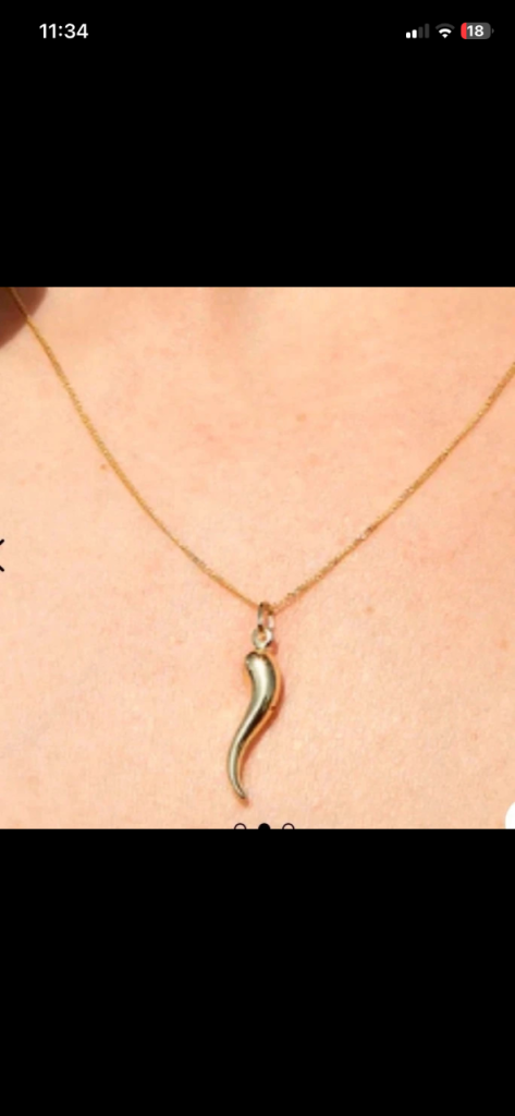 9ct gold horn with necklace 