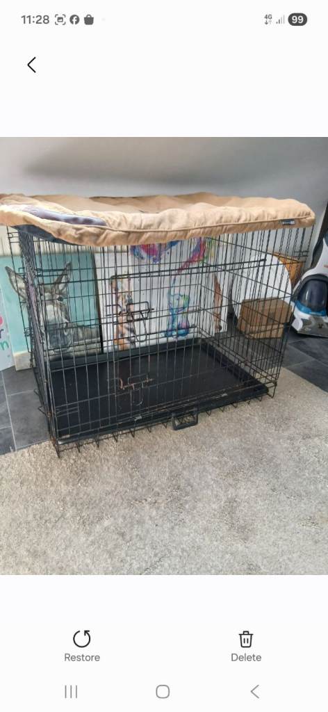 Dog cage 