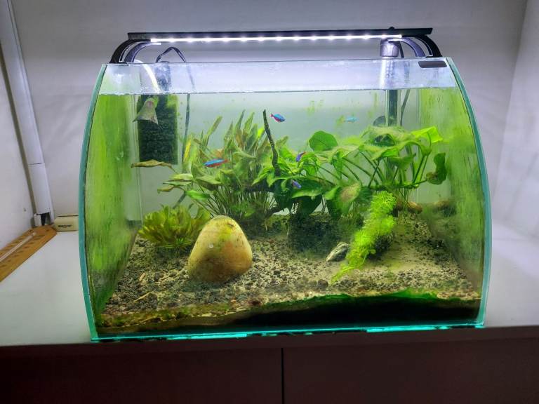 Aquarium tank 