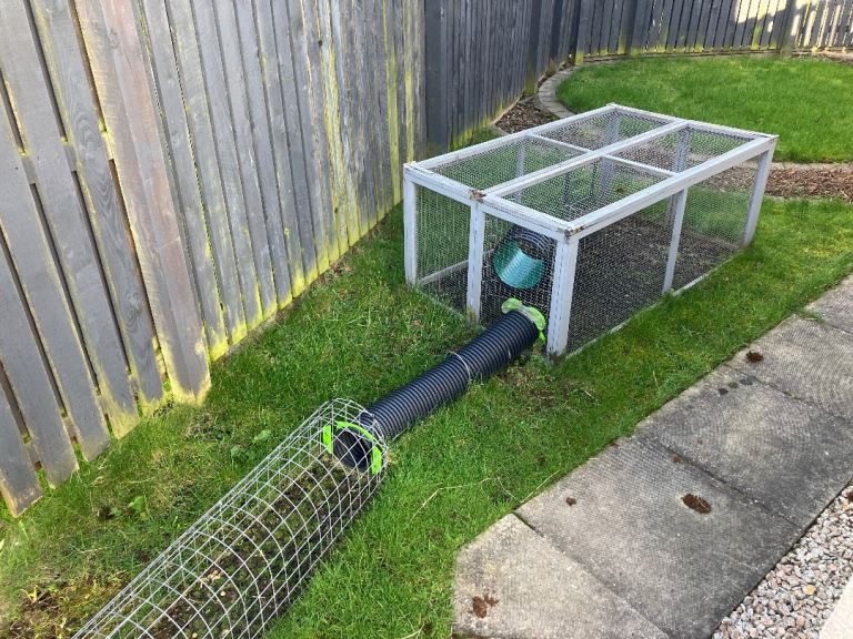 Outdoor rabbit runs and tunnels