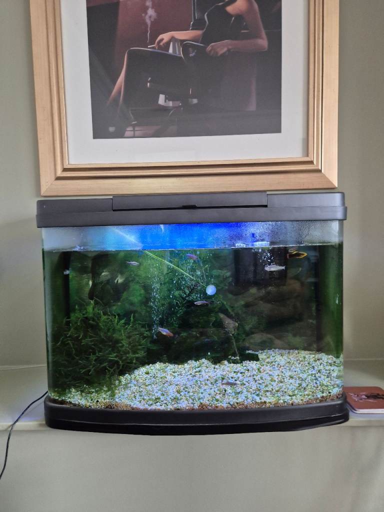 Aquarium Fish Tank