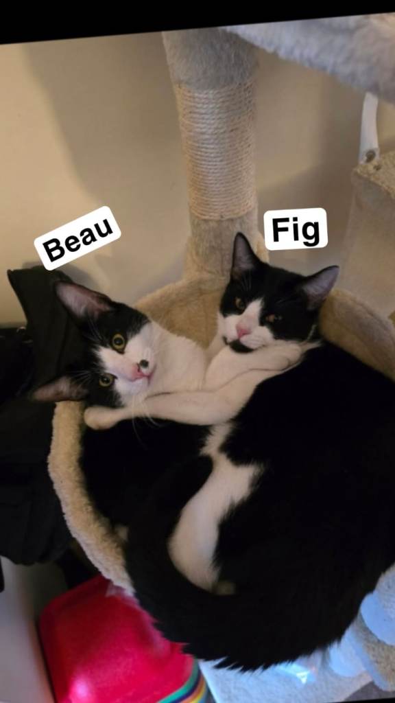 Tuxedo Brothers