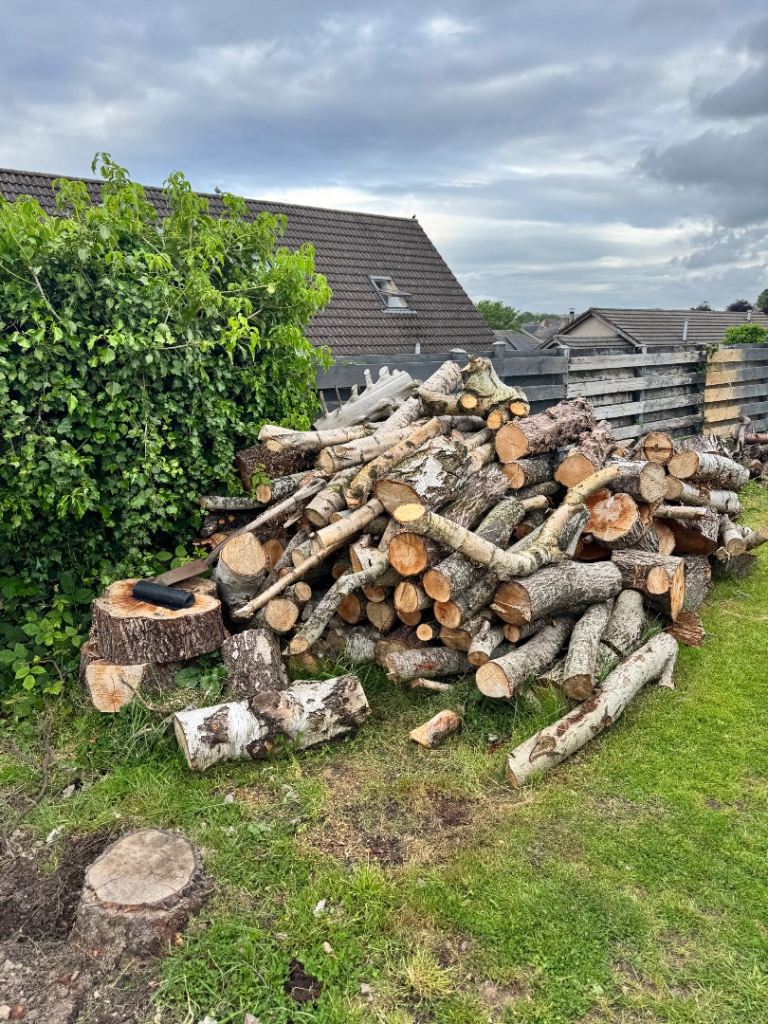 Logs 
