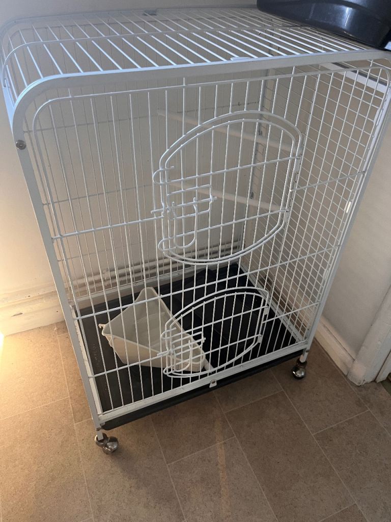 Rodent cage on wheels 