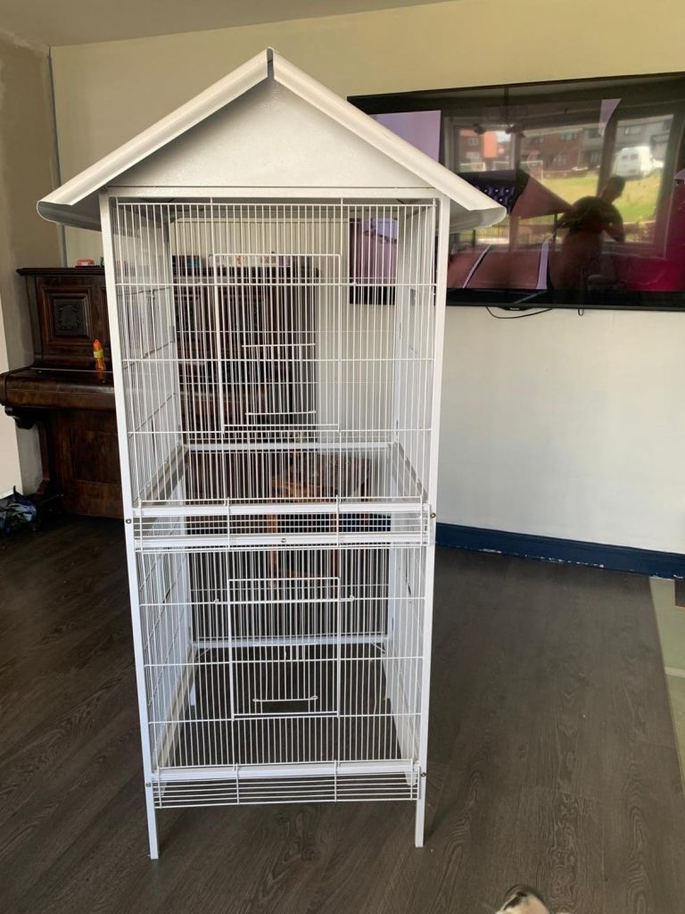 Bird cage 