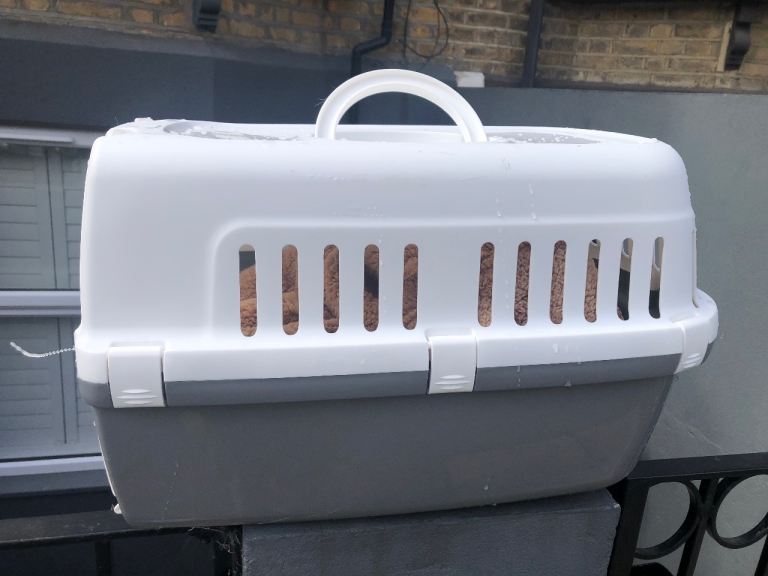 Sturdy Grey and White Pet Carrier