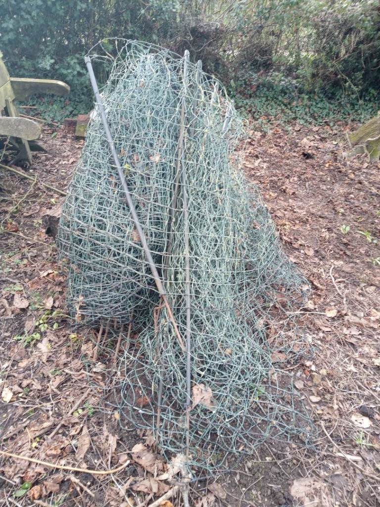 Chicken fencing