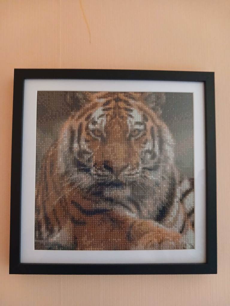 Framed Tiger Diamond Painting – Good Condition
