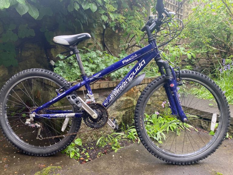 Kids Mountain Bike-Barracuda Flex-24inch-street series 18 speed
