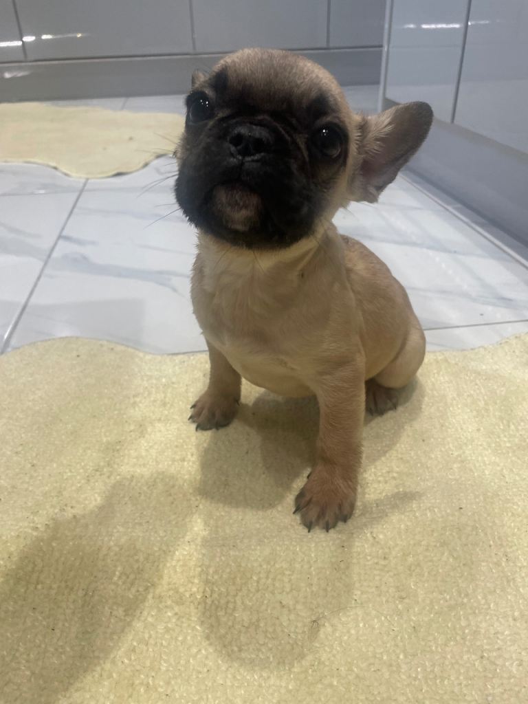 Ready now for there 4ever homes 