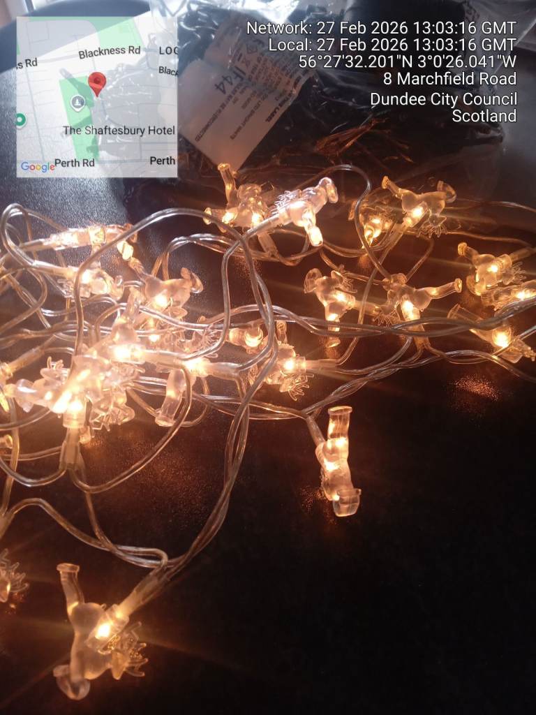 *REDUCED*  REINDEER, NOVELTY STRING FAIRY LIGHTS, EX CON, HOMEBASE, 30 LEAPING REINDEER  £8 