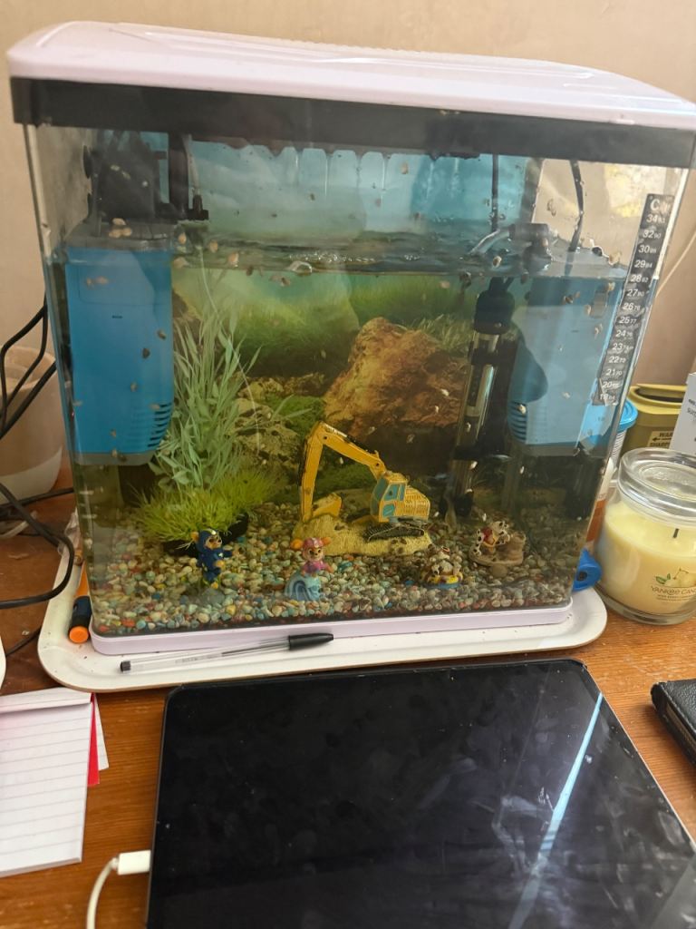 Tropical fish tank complete set £225