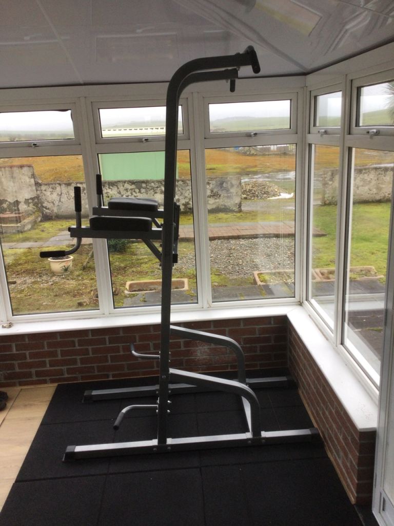 BodyMax Deluxe Power Tower