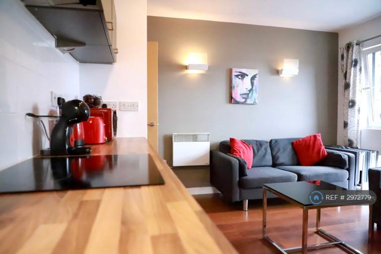 1 bedroom flat in Upper Allen Street, Sheffield, S3 (1 bed) (#2972779)