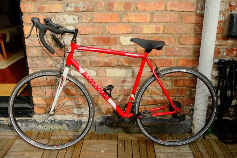 Barracuda Corvus 100 Road Bike – 700C Wheels – Schwalbe Marathon Plus – 19” Frame