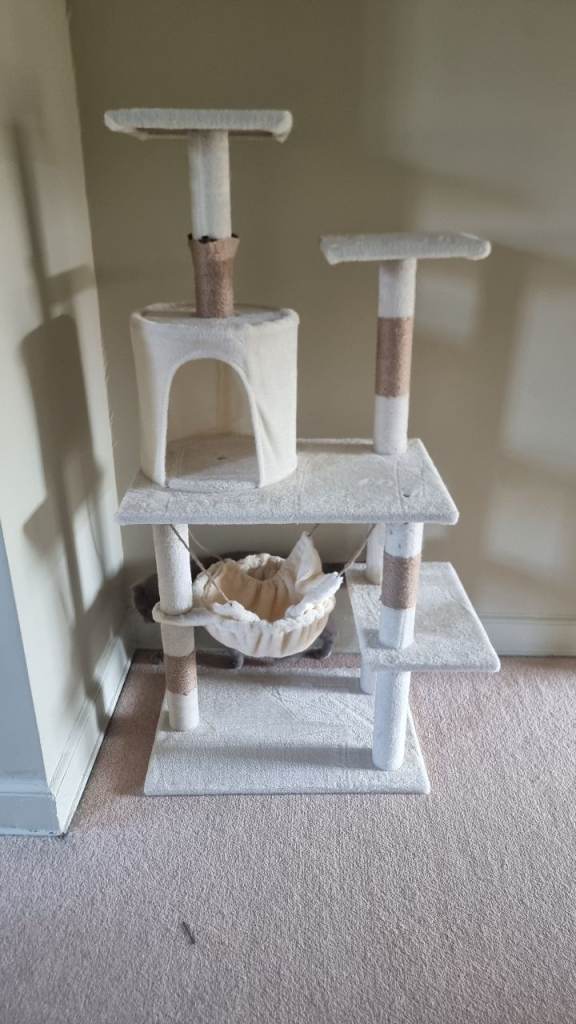 Cat Climbing Tree