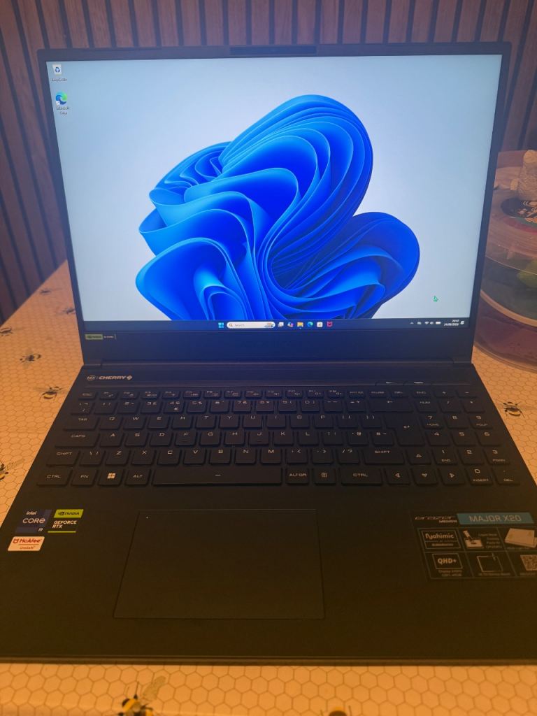 Medion erazer major x20