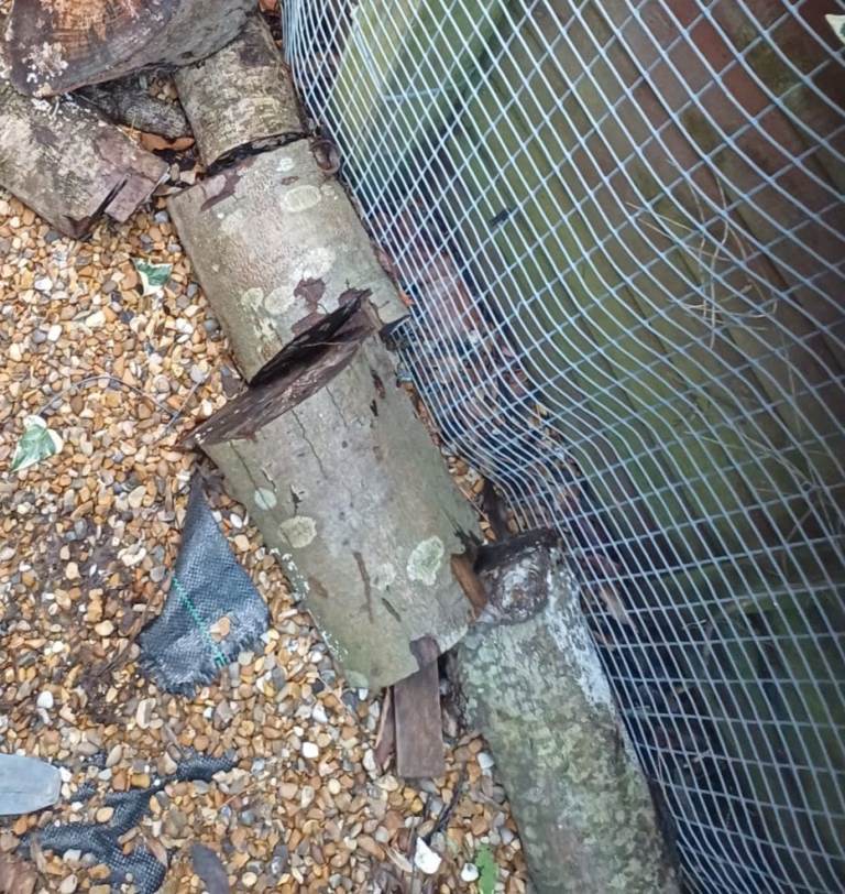 Free wood available to collect and logs.