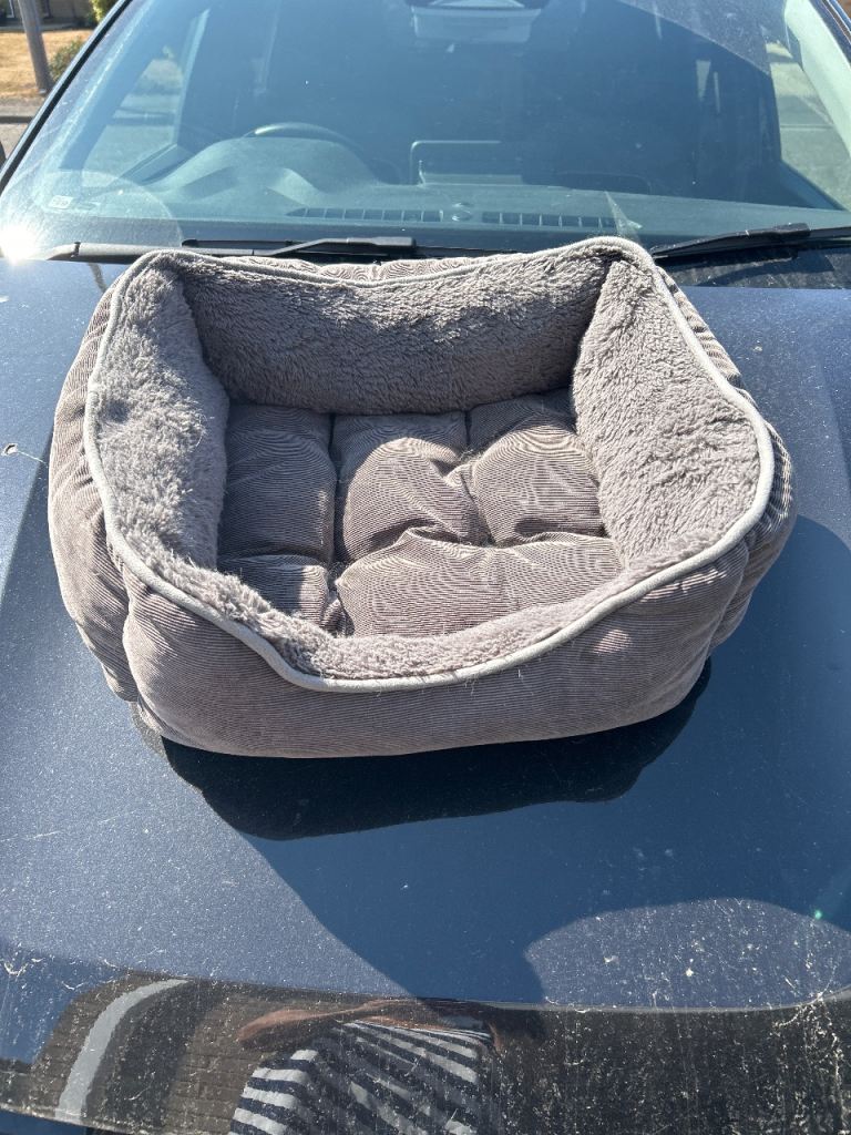 Grey cat bed 